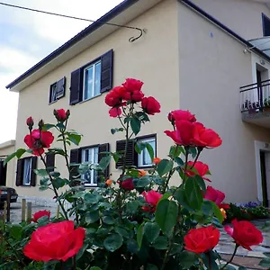 Rusin Linardići