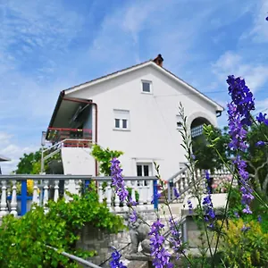 Biondi Viskovo